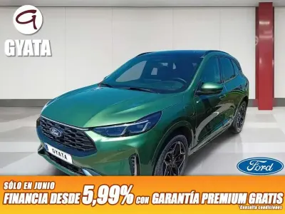 Usado Ford Kuga ST-Line X 243 CV (178 kW) 2024 Verde SUV