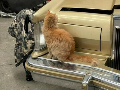 Usado Mercedes S300 177 CV (130 kW) 1998 Plateado Berlina