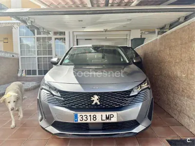 Usado Peugeot 3008 Allure 130 CV (95 kW) 2021 Gris / plata SUV