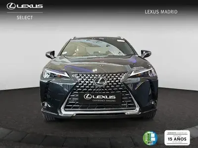 Nuevo Lexus UX 198 CV (145 kW) 2026 Gris SUV