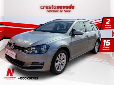 usado VW Golf VII Variant Edition 1.2 TSI 110CV BMT Te puede interesar