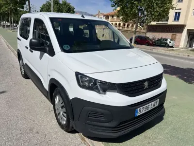 Usado Peugeot Rifter