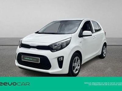 Brugt Kia Picanto 67 HK (49 kW) 2024 Hvid Hatchback