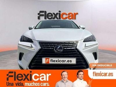 Usado Lexus NX300h Business Edition 197 CV (144 kW) 2020 Blanco SUV
