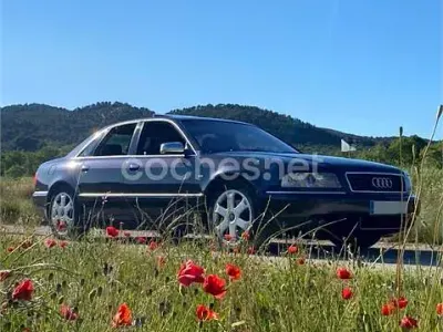 Usado Audi S8 340 CV (250 kW) 2000 Violeta / lila Berlina