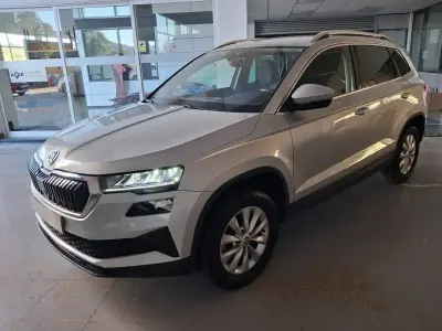 Usado Skoda Karoq