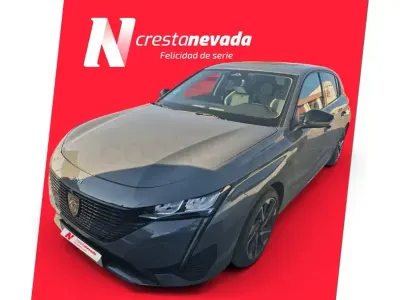 Usado Peugeot 308