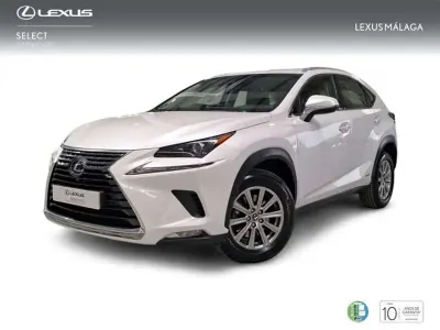 Usado Lexus NX300h Business Edition 197 CV (144 kW) 2019 Blanco SUV
