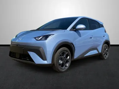 Usado BYD Dolphin Surf