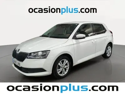 Brugt Skoda Fabia
