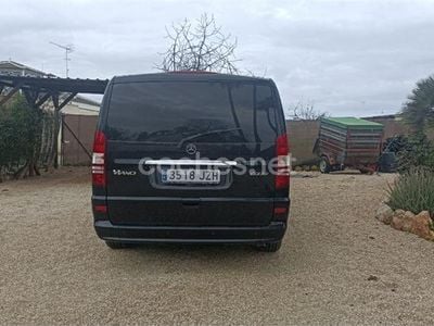 Mercedes Viano