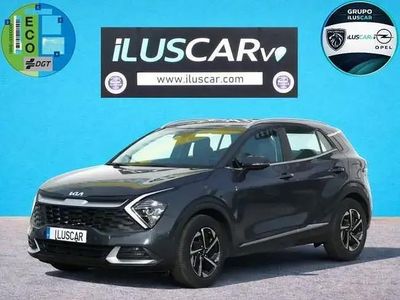 Occasion Kia Sportage 151 ch (111 kW) 2024 Gris SUV