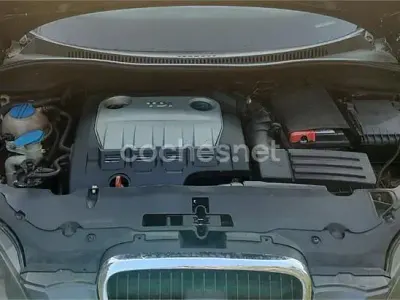 Usado Seat Altea 170 CV (125 kW) 2008 Granate Monovolumen