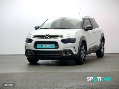 Usado Citroën C4 Cactus Shine 99 CV (72 kW) 2019 Blanco Utilitario