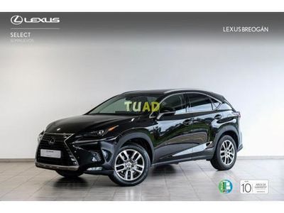 usado Lexus NX300h EXECUTIVE KICK POW NAVI