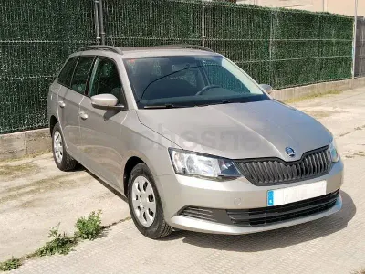 Brugt Skoda Fabia