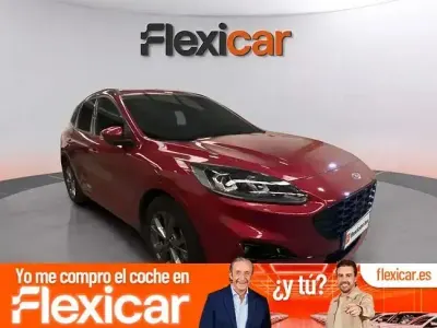 Usado Ford Kuga ST-Line 225 CV (165 kW) 2020 Rojo SUV