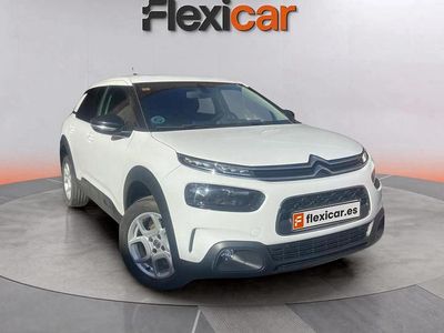 Blanco Usado 2019 Citroën C4 Cactus Feel Utilitario | 11.290 € (Precio justo)