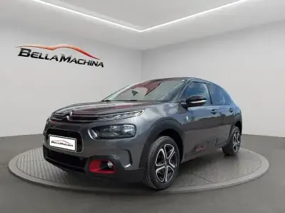 Brugt Citroën C4 Cactus