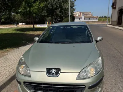 Usado Peugeot 407 Premium 136 CV (100 kW) 2007 Beige Berlina