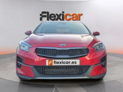 Usado Kia XCeed 160 CV (117 kW) 2021 Burdeos SUV