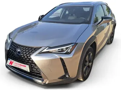 Usado Lexus UX Business Edition 184 CV (135 kW) 2022 Gris SUV
