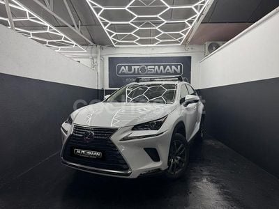 Usado Lexus NX300h Business Edition 197 CV (144 kW) 2019 Blanco SUV