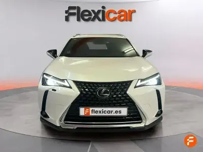 Usado Lexus UX Business Edition 184 CV (135 kW) 2020 Blanco SUV