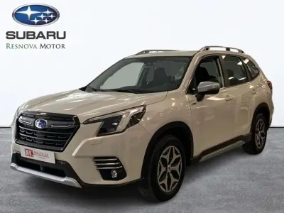 Usado Subaru Forester