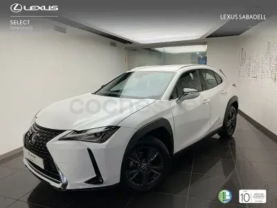 Usado Lexus UX Business Edition 184 CV (135 kW) 2024 Blanco SUV