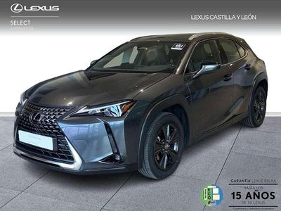 Usado Lexus UX 300h 201 CV (147 kW) 2025 Gris SUV