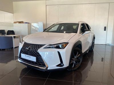 Nuevo Lexus UX 300h 199 CV (146 kW) 2026 Blanco SUV