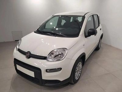 Usado Fiat Panda 70 HP (51 kW) 2024 Branco Citadino