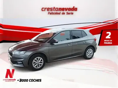Käytetty Skoda Fabia Selection 80 HP (58 kW) 2024 Harmaa Viistoperä