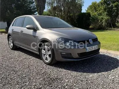 Usado VW Golf VII Advance 125 CV (91 kW) 2016 Gris / plata Berlina
