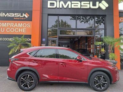 usado Lexus NX300 300h Business 2WD