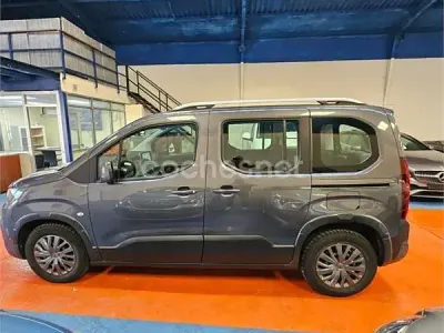 Usado Peugeot Rifter