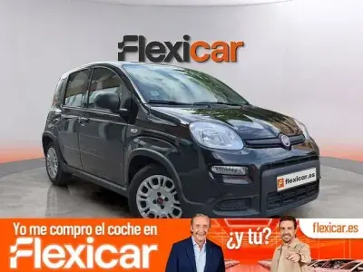 Usado Fiat Panda Cross