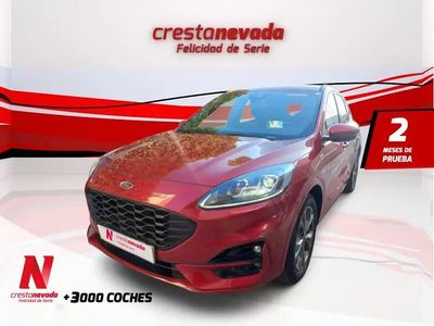 Usado Ford Kuga ST-Line 151 CV (111 kW) 2022 Rojo SUV