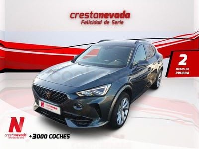 Usado Cupra Formentor 150 CV (110 kW) 2023 Gris / plata SUV