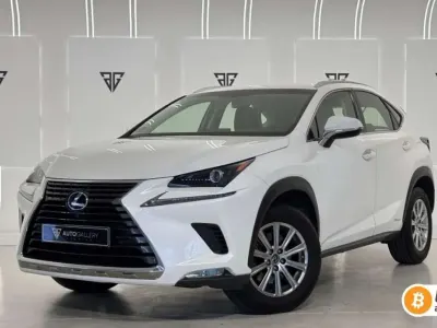 Usado Lexus NX300h Business Edition 197 CV (144 kW) 2019 Blanco SUV