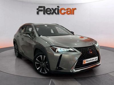 Usado Lexus UX Business Edition 184 CV (135 kW) 2019 Gris SUV