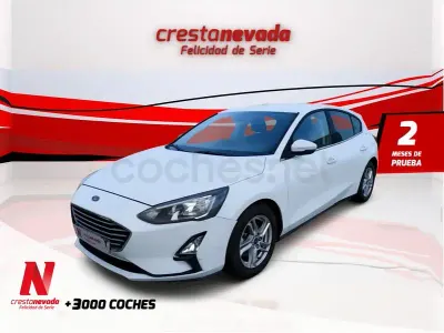 Używany Ford Focus