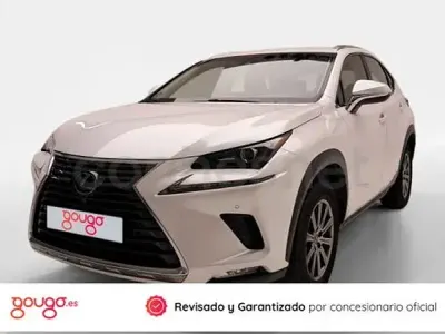 Usado Lexus NX300h Business Edition 197 CV (144 kW) 2019 Blanco SUV