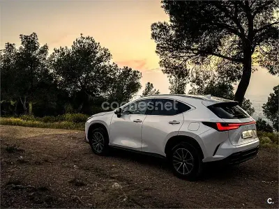Usado Lexus NX350h