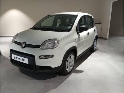 Usado Fiat Panda 70 CV (51 kW) 2023 Blanco Utilitario