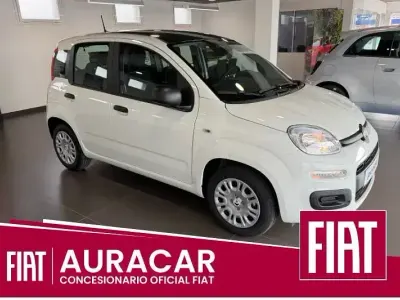 Nieuw Fiat Panda Icon 100 PK (73 kW) 2025 Wit Hatchback