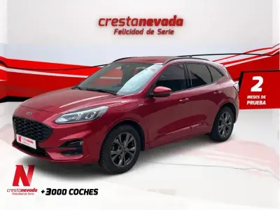 Usado Ford Kuga ST-Line X 150 CV (110 kW) 2020 Granate SUV