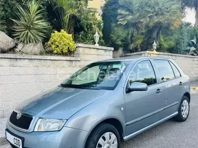 Usado Skoda Fabia