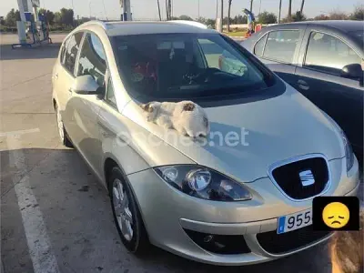 Usado Seat Altea XL Stylance 140 CV (102 kW) 2006 Beige Monovolumen